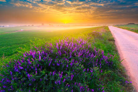 Beautiful sunrise and privacy at countryside farmの写真素材