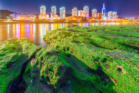 Green algae riverside townの写真素材