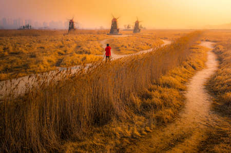 Photographers are taking photos of wind turbines in meadowの写真素材