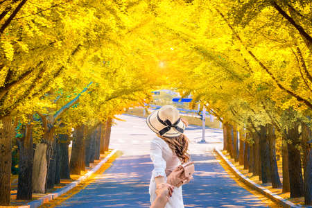 Beautiful romantic walkway ginkgo tree tunnel in the autumn season, South Koreaの写真素材
