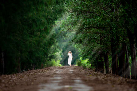 A traveller woman walks in the middle walk way of green pine Forrest in summer in Sakonnakhon,Thailandの写真素材