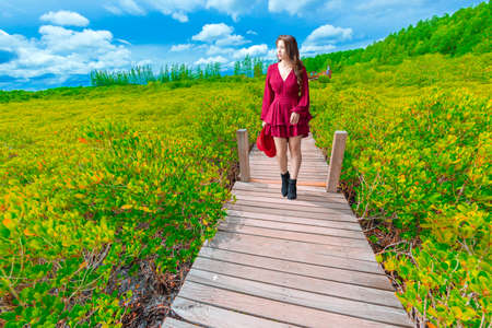 Asian Woman Admiring the View of Vibrant Green Golden Mangrove Field, Rayong Province, Thailand.の写真素材