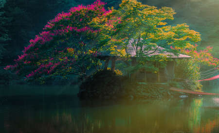 Pavilion and flower in the waterの写真素材