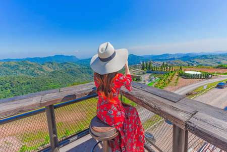 Back view of woman  enjoying mountain view and take pictureの写真素材