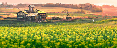 Beautiful  Hwaseong farm land in South Koreaの写真素材