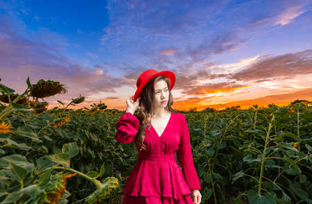 Girl walk in the garden with sunflowers.Sunrise in summer with sunflowersの写真素材