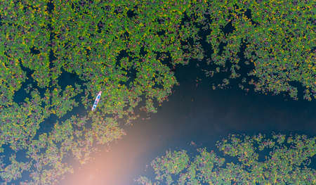 The sea of red lotus press angle, Lake Nong Harn, Udon Thani, Thailand