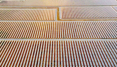Solar panels in aerial view