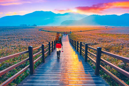 Tourists watch the sunrise at the wooden bridge of Suncheon,South Koreaの写真素材