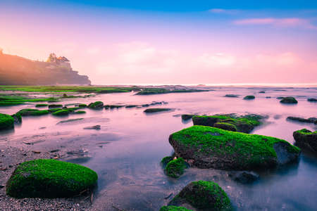 Seeweed and Hindu temple at a beach in Bali, Indonesiaの写真素材