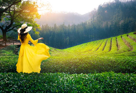 Asian woman visits a tea plantation in southern South Koreaの写真素材