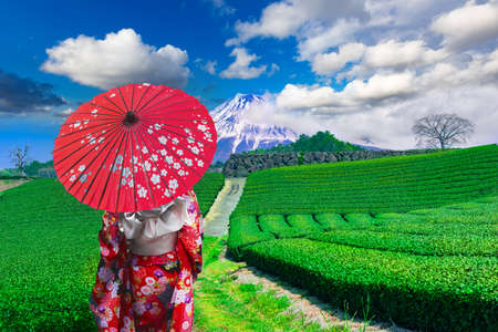 Asian girl traveler wearing japanese traditional kimono at Fuji mountains and green tea plantation in Shizuoka, Japanの写真素材