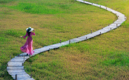 Rural yellow and green rice fields and bamboo bridge. new tourist attraction of Nakhon Nayok province,Thailandの写真素材