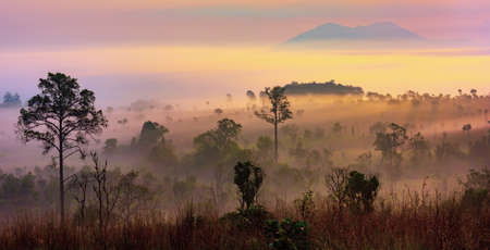 Sunrise at Thung Salaeng Luang national park of Thailand, mountain view with sea of fog and forest	の写真素材