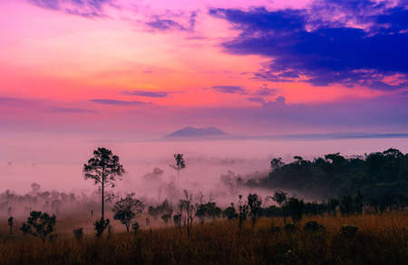 Sunrise at Thung Salaeng Luang national park of Thailand, mountain view with sea of fog and forestの写真素材