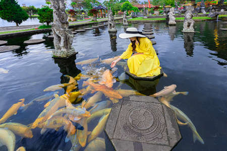 Woman wearing yellow dresses to feed koi fish in Taman Tirtagangga temple on Bali,Indonesiaの写真素材