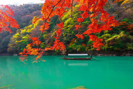 KYOTO,JAPAN-OCTOBER 18,2016:The boatman on the Katsura River on both sides is full of beautiful colorful treesのeditorial素材