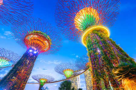The tree structures are fitted with environmental technologies, Singapore at twilightのeditorial素材