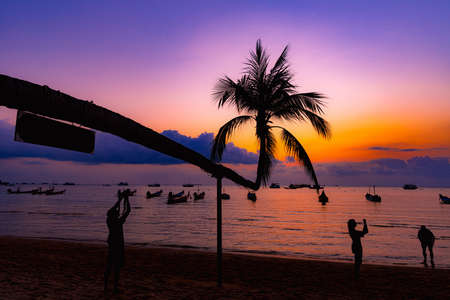 Coconut palm tree against colorful sunset. Dark silhouettes of palm tree at Koh Taoisland,Surat thani, Thailandの写真素材