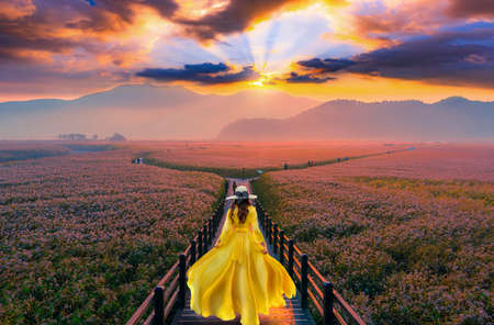 
Asian tourists walk on a wooden bridge to see the beauty of the sunrise on the grasslands in Suncheon Bay, South Koreaの写真素材