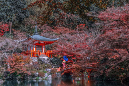 Asian woman wearing japanese traditional kimono visit Daigoji temple, Kyoto. Japan autumn seasonsのeditorial素材