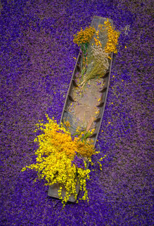 The yellow flowers are in the boat decorated with purple flowersの写真素材