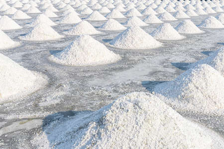 Salt produce farm make from natural ocean salty water at Samut songkhram,Thailand.の写真素材