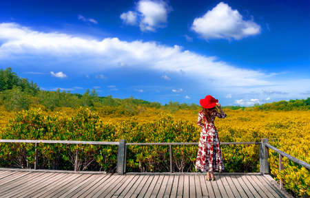 Asian women standing on wooden bridge at Mangrove forest ecotourism Thung Prong Thong, Rayong Province, Thailandの写真素材