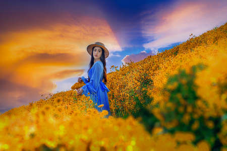 young woman with a basket full of chrysanthemums Standing in the middle of a chrysanthemum garden in Chiang Mai, Thailandの写真素材