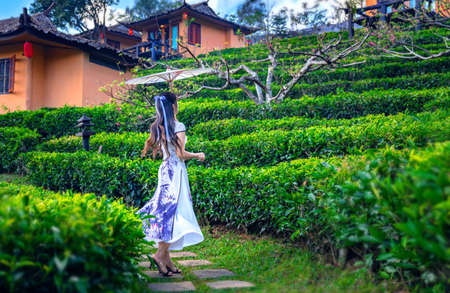 Asian woman wearing a Chinese national costume poses for a photo at a tea plantation in Rak Thai Village, Mae Hong Son Province, Thailandの写真素材