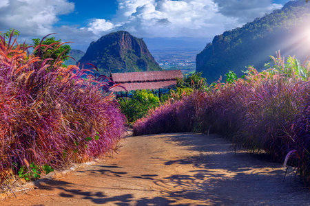 Phahee Viewpoint, Mae Sai District, Chiang Rai Province, Thailandの写真素材
