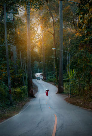 Beautiful Road for passsing to ChiangDao Mountain, ChiangMai, Thailand.の写真素材