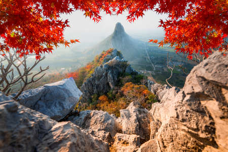 High mountains in the plains and fields in the morning, the misty and beautiful maple leaf in Khao No Nakhon Sawan Thailandの写真素材