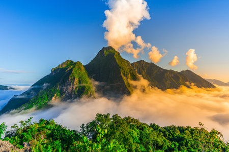 Beautiful view sea of fog in the morning forest mountain with green mountains. Nongkhiaw, Laos