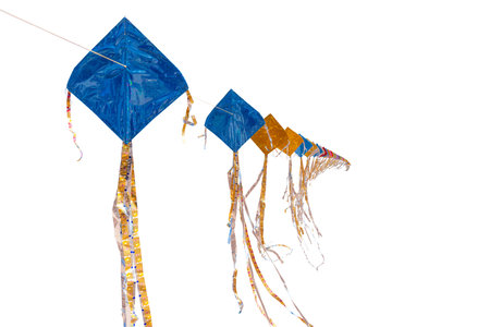 Long-tailed kites fly together in a single line. Isolated on white background.の写真素材