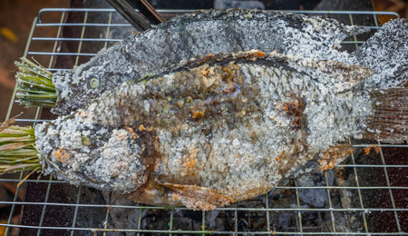 Grilled tilapia with herbal salt, Thai food grilled using charcoal.の写真素材
