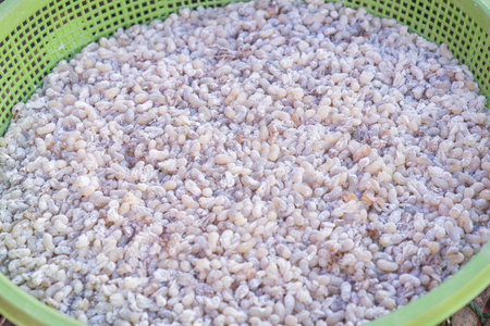 Red ant eggs, a local food from the northeastern region of Thailandの写真素材