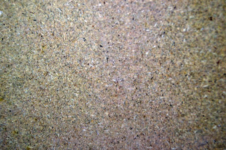 Wood textureの写真素材