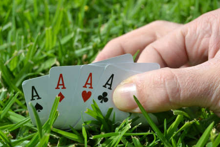 poker card in the grassの写真素材