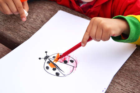 child drawing a ladybugの写真素材