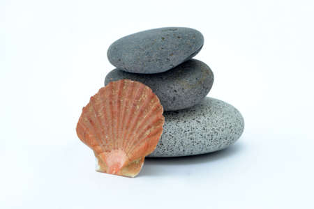 Zen Stones with shell