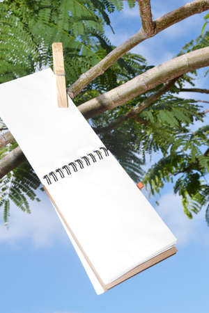 Notebook hanging from a treeの写真素材