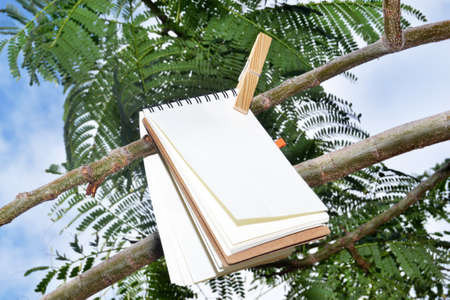 Notebook hanging from a tree