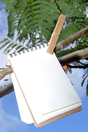 Notebook hanging from a treeの写真素材