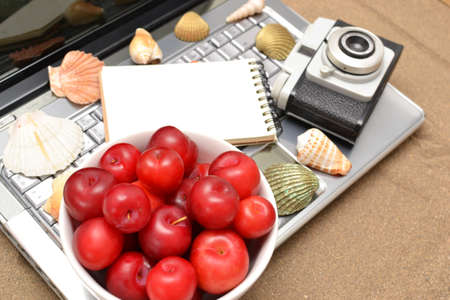Laptop, plums and shell on sand
