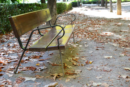 Park bench in autumnの写真素材