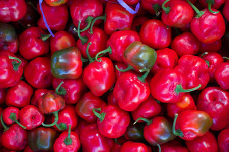 Many small peppers backgroundの写真素材