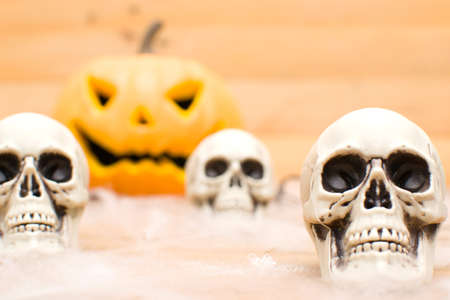 Halloween pumpkin and skullsの写真素材