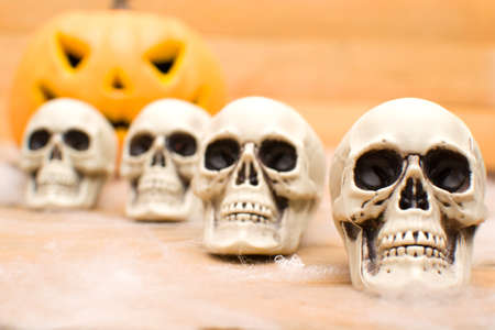 Halloween pumpkin and skullsの写真素材