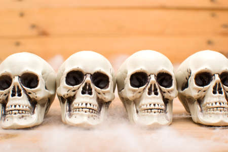 Halloween skullsの写真素材